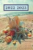 Sunny Beach Lovers Peach Sea Shells On The Shore Dated Weekly 2 Year Calendar Planner Cute Small Pocketpurse Size Todo Liststasks Notes Dec 2021 25 Months Weekly Planner Book