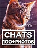 Livre Photo Chat 100 Belles Images Dans Ce Livre Photo Fantastique