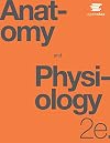 Anatomy and Physiology 2e by OpenStax (Official Print Version, paperback version, B&W)