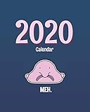Blobfish 2020 Calendar Weekly Monthly Planner And Organizer For Time Management Meh January December