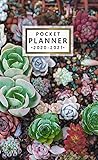 Pocket Planner 20202021 Beautiful Succulents Two Year Monthly Schedule Agenda Calendar Pretty Cactus 2 Year Organizer With Inspirational Quotes Phone Book Holidays Vision Board Notes