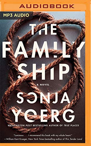 The Family Ship book cover