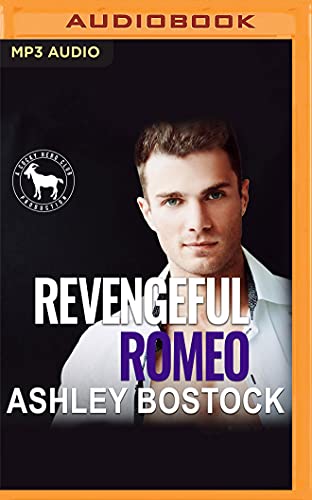 Revengeful Romeo book cover