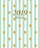 2019 Planner Daily Weekly Monthly Planner Calendar Journal Planner And Notebook Agenda Schedule Organizer Appointment Notebook Academic Student Green Stripes January 2019 To December 2019