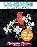 Large Print Adult Coloring Book Color By Number Springtime Designs Midnight Edition