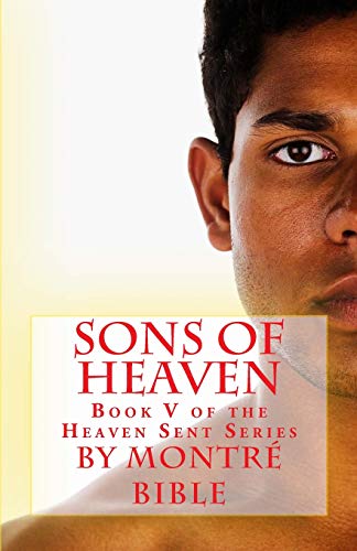 Sons of Heaven book cover