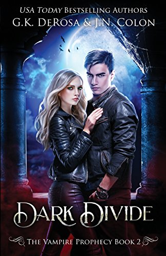 Dark Divide book cover