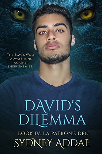 David's Dilemma book cover