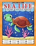 Sea Life Colour By Number Coloring Book For Kids Ages 48