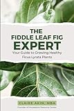 The Fiddle Leaf Fig Expert Your Guide To Growing Healthy Ficus Lyrata Plants