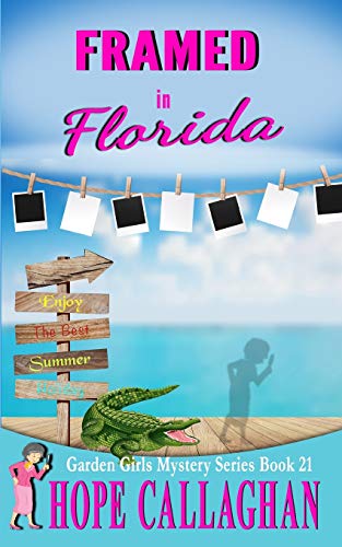 Framed in Florida book cover
