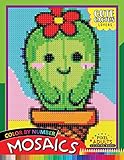 Cute Cactus Lovers Mosaic Pixel Adults Coloring Books Color By Number