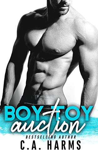 Boy Toy Auction book cover