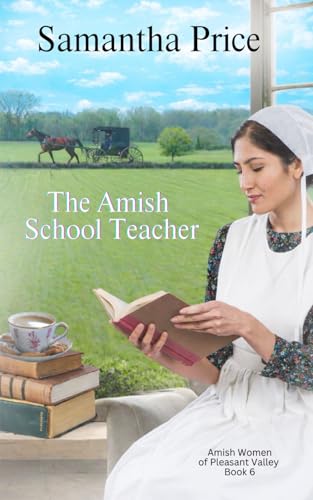 The Amish School Teacher book cover