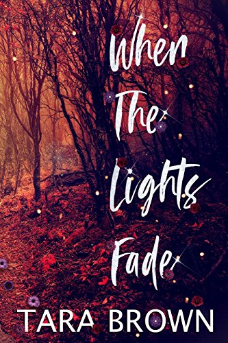 When The Lights Fade book cover