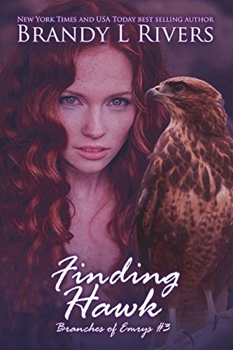 Finding Hawk book cover