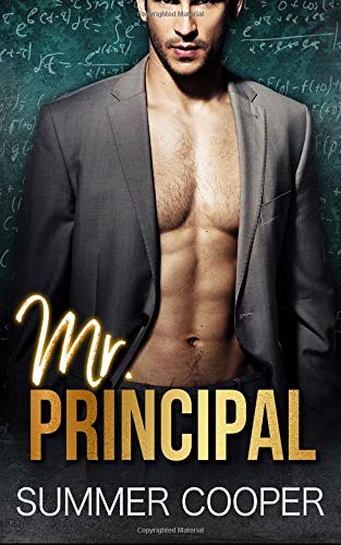 Mr Principal book cover