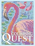 Coloring Quest: Activity Puzzle Color By Number Book for Adults Relaxation and Stress Relief (Color Quest Color By Number)