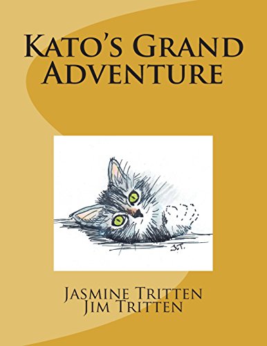 Cover of Kato's Grand Adventure