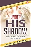 Under His Shadow Gods Promises And Prayers For Protection