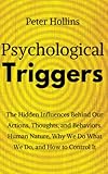 Psychological Triggers Human Nature Irrationality And Why We Do What We Do The Hidden Influences Behind Our Actions Thoughts And Behaviors