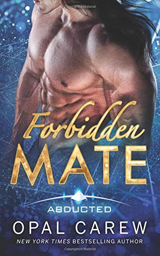 Forbidden Mate book cover