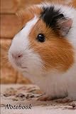 Notebook Guinea Pig Design