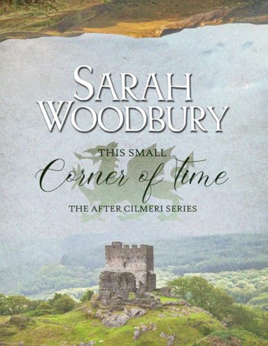 This Small Corner of Time book cover