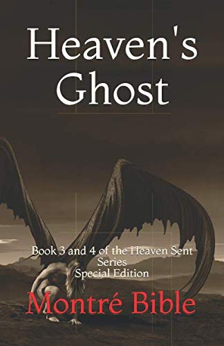Heaven's Ghost book cover