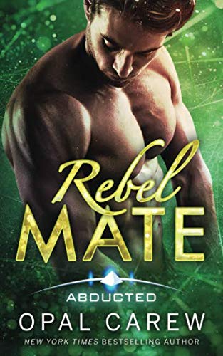 Rebel Mate book cover