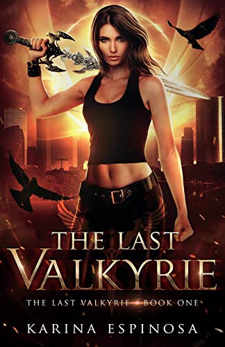 The Last Valkyrie book cover