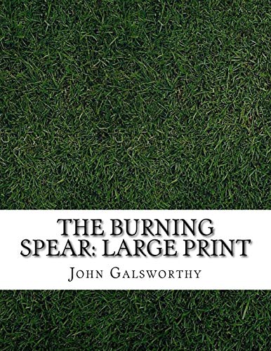 The Burning Spear book cover