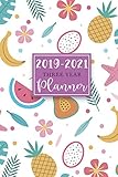 20192021 Three Year Planner 36 Months Calendar Monthly Schedule Organizer 3 Year Planner 2019202 Pocket Planner Agenda Appointment Notebook Calendar Planner Diary Journal Volume 5