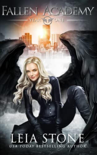Fallen Academy: Year One book cover