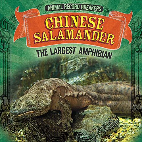 Cover of Chinese Salamander