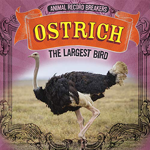 Cover of Ostrich
