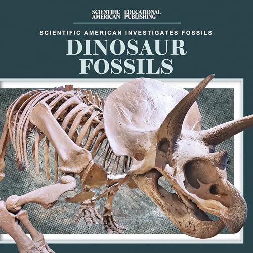 Dinosaur Fossils / by Humphrey, Natalie