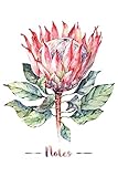 Notes Watercolor Protea Flower Design Composition Booknotebook 100 Pages Medium College Ruled 6 X 9 In 152 X 229 Cm Perfect For Studying Doodling Brainstorming And Journaling