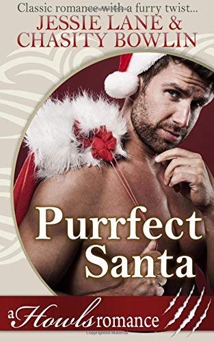 Purrfect Santa book cover