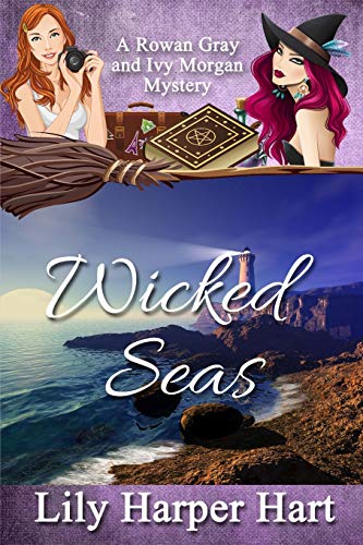 Wicked Seas book cover