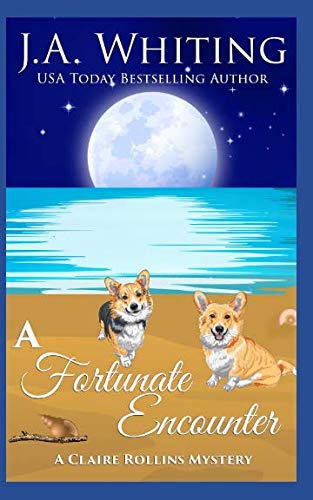 A Fortunate Encounter book cover