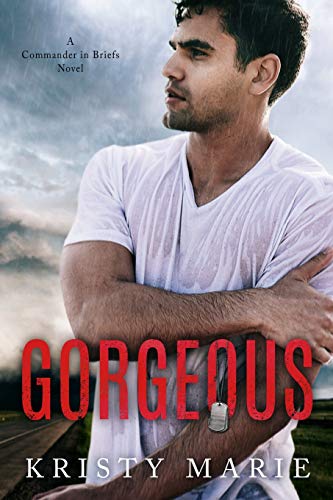 Gorgeous book cover