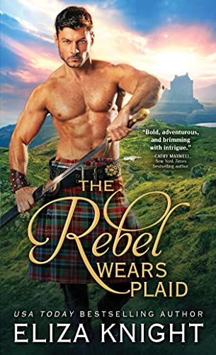 The Rebel Wears Plaid cover