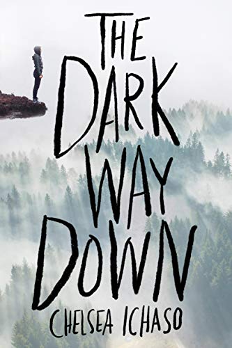 The Dark Way Down book cover