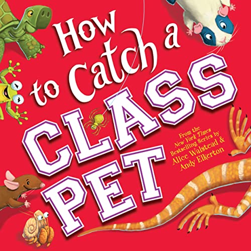 How to Catch a Class Pet book cover