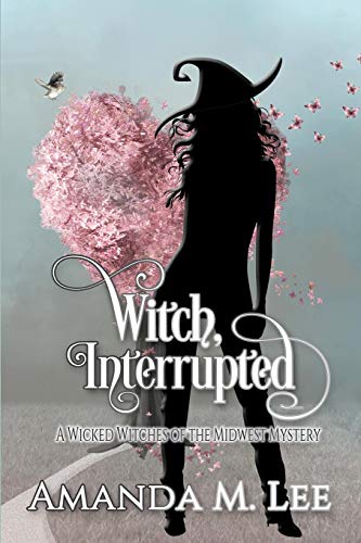 Witch, Interrupted book cover