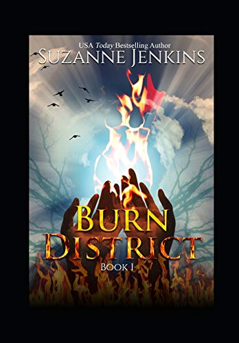Burn District 1 book cover