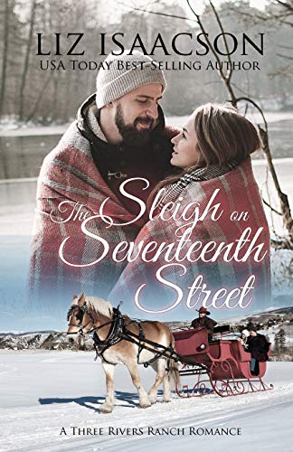 The Sleigh on Seventeenth Street book cover