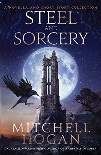 Steel and Sorcery book cover