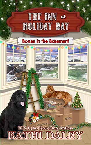 Boxes in the Basement book cover